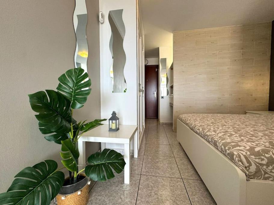 Palm Garden Apartment Моро дел Хабле Екстериор снимка