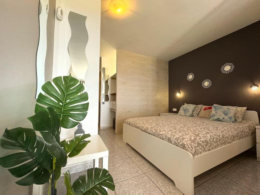 Palm Garden Apartment Моро дел Хабле Екстериор снимка